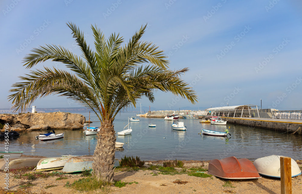 View of the small port of the island of Tabarca off the coast of Alicante in Spain. Some small boats are in the water and on the bank. In the foreground is a small palm tree.
