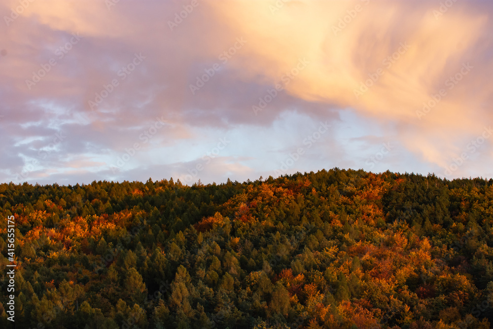 Fototapeta premium autumn landscape of moravian tuscany before sunset