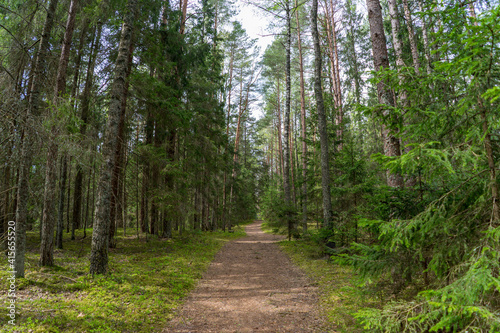 Forests of Belarus, National Park Narochansky Krai