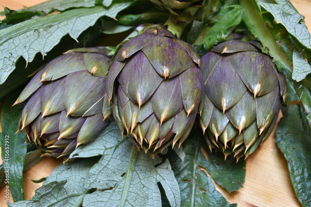 Carciofo, tipica pianta mediterranea. E' una pianta della famiglia Asteraceae coltivata in Italia e in altri Paesi per uso alimentare e, secondariamente, medicinale.