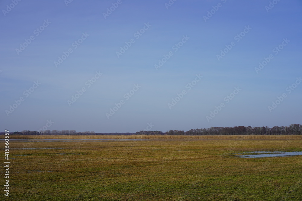 Sonniges Naturpanorama mit Wiese, Wasser, Schilf und Wald unter milchig blauem Himmel bei Sonnenschein (Naturschutzgebiet Rietzer See, Brandenburg)