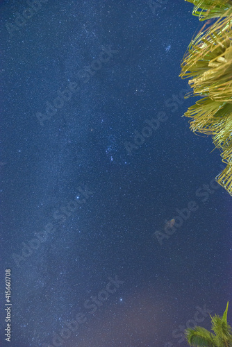 Starry night under the trees