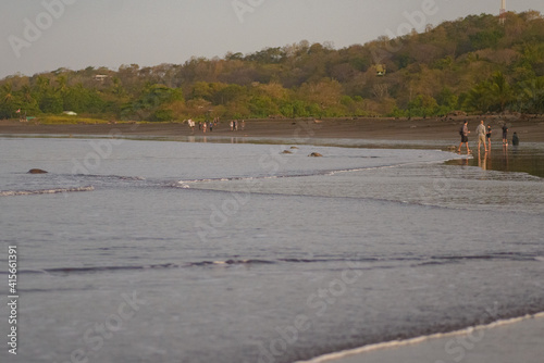 Turtles nesting during sunrise at Ostional beach in Costa Rica