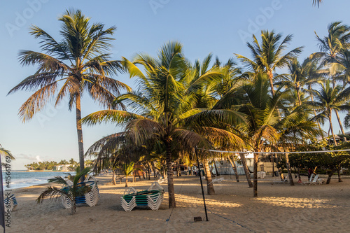 Fototapeta Naklejka Na Ścianę i Meble -  Palms at Cabarete beach, Dominican Republic
