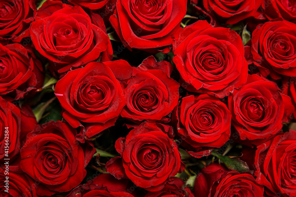 Beautiful bouquet of red roses, seen from above. Spring flowers. Wedding, women's day, mothers day and valentines day background. Selective shallow depth of field. Beautiful bouquet of red roses, seen from above. Spring flowers. Wedding, women's day, mothers day and valentines day background. Selective shallow depth of field.