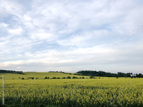 Rape field with blue sky near Cracow