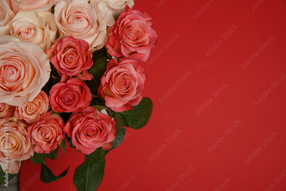 Beautiful white, red, tabby tea rose flowers in a vase, photographed from above on the red table. Spring flowers. Wedding mothers day and valentines day background. Selective small depth of field. Beautiful white, red, tabby tea rose flowers in a vase, photographed from above on the red table. Spring flowers. Wedding mothers day and valentines day background. Selective small depth of field.