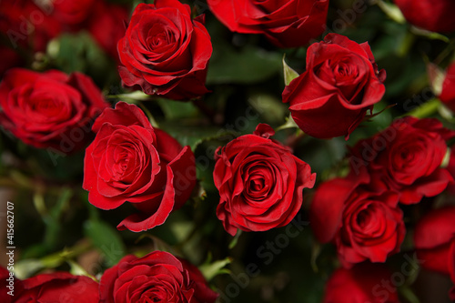 Beautiful bouquet of red roses  seen from above. Spring flowers. Wedding  women s day  mothers day and valentines day background. Selective shallow depth of field.
