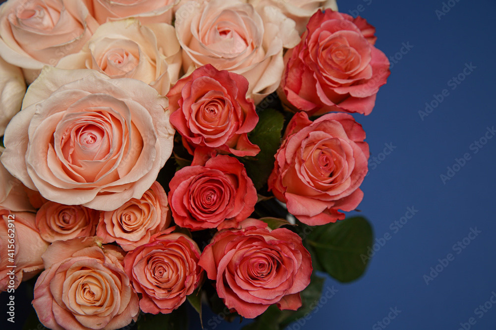 Beautiful white, red, tabby tea rose flowers in a vase, photographed from above on the blue table. Spring flowers. Wedding mothers day and valentines day background. Selective small depth of field. Beautiful white, red, tabby tea rose flowers in a vase, photographed from above on the blue table. Spring flowers. Wedding mothers day and valentines day background. Selective small depth of field.