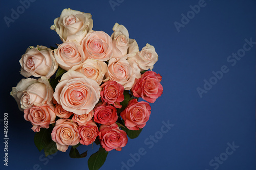 Beautiful white, red, tabby tea rose flowers in a vase, photographed from above on the blue table. Spring flowers. Wedding mothers day and valentines day background. Selective small depth of field.