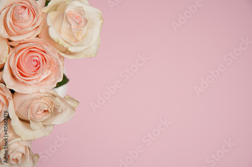 Beautiful white  red  tabby tea rose flowers in a vase  photographed from above on the pink table. Spring flowers. Wedding mothers day and valentines day background. Selective small depth of field.