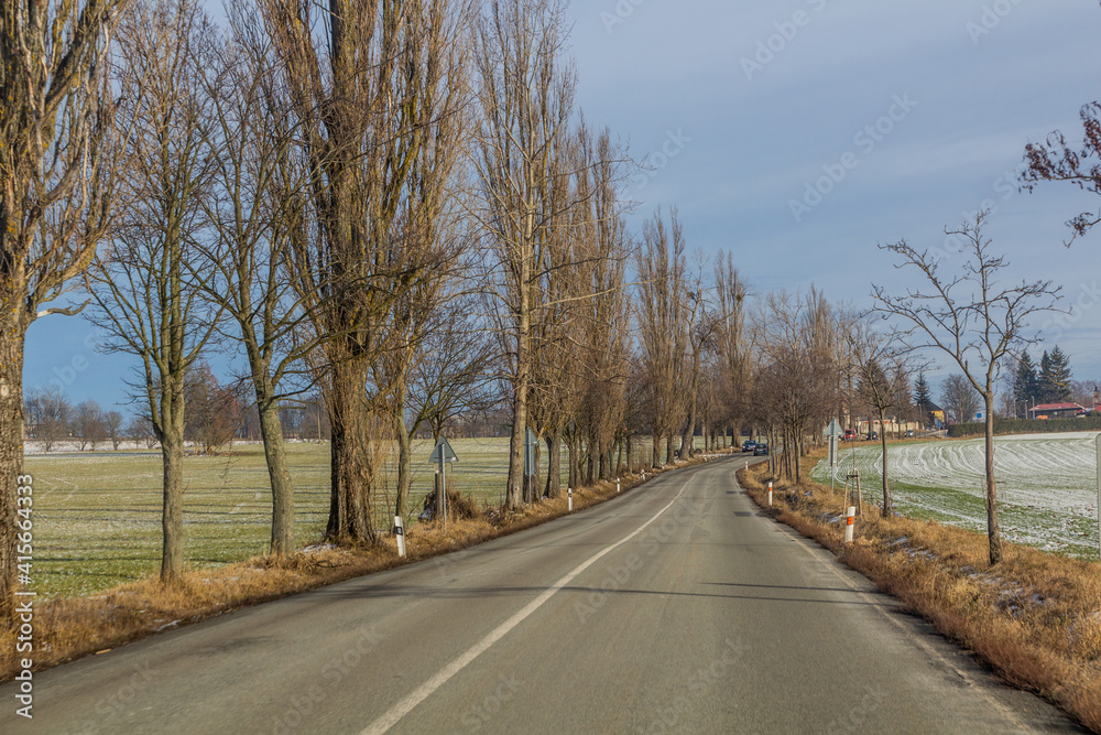 Winter view of a road III/319 near Rokytnice v Orlickych Horach, Czech Republic