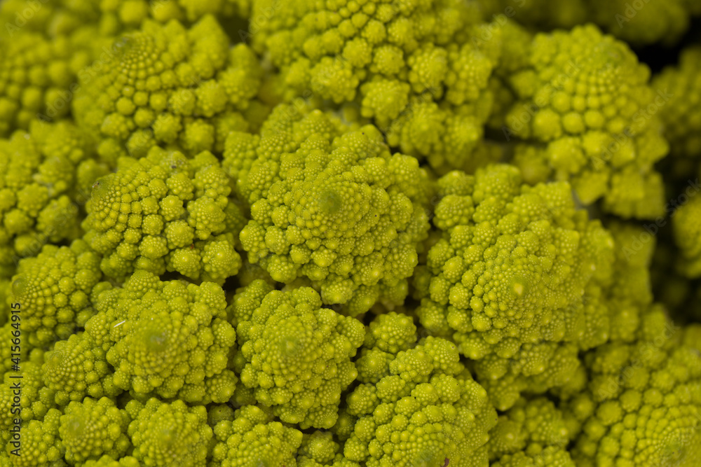 abstract green natural background, Romanesco broccoli, close-up, Backgrounds and textures abstract green natural background, Romanesco broccoli, close-up, Backgrounds and textures