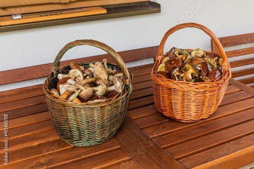 Woven baskets full of edible mushrooms