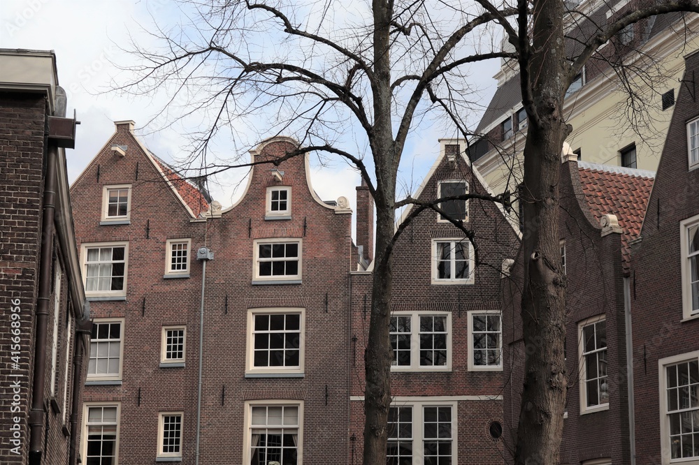 Historic Brown House Facades in Amsterdam with Winter Trees