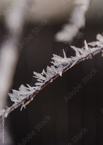 Hoarfrost