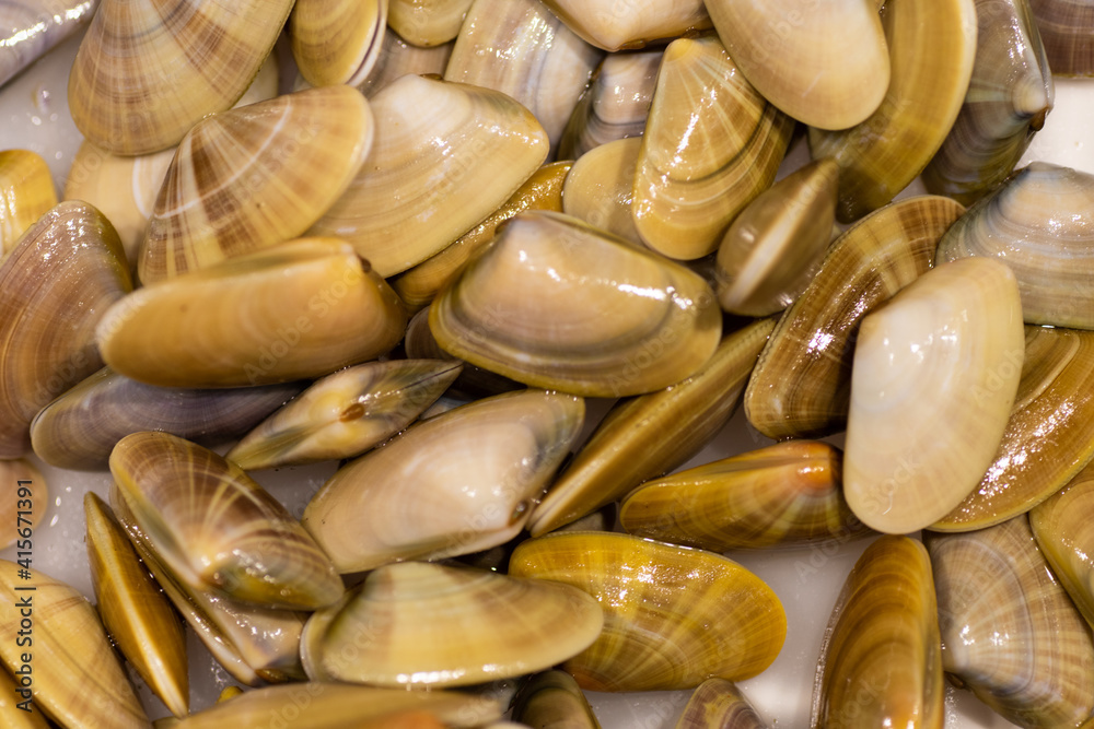 clams in the market