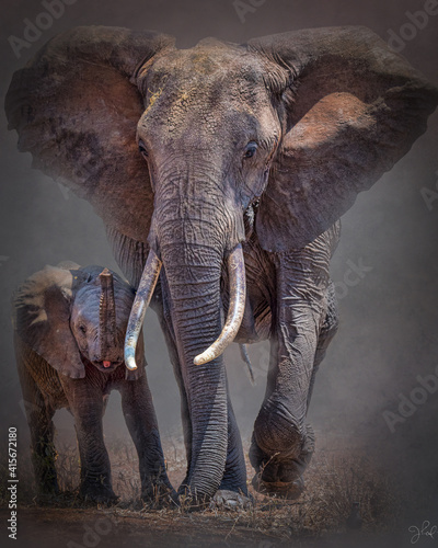 Photography Mom and baby, baby elephant, animals, Africa, African wildlife, wildlife, Tanzan