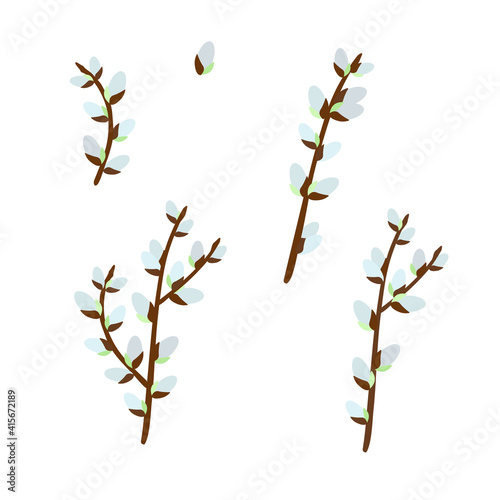 Pussy willow branches set, willow tree twigs vector floral illustration for spring holidays decor, greeting cards, invitations, banners, web design
