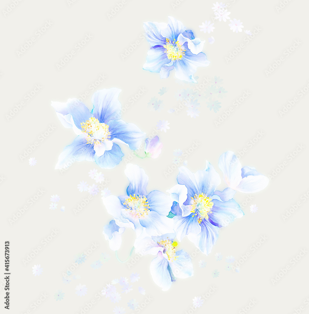 Flowers watercolor illustration.Manual composition.Big Set watercolor elements，Design for textile, wallpapers，Element for design,Greeting card