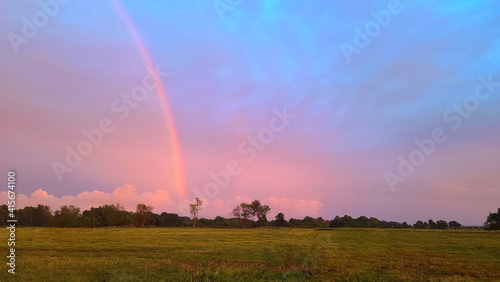 rainbow in the field