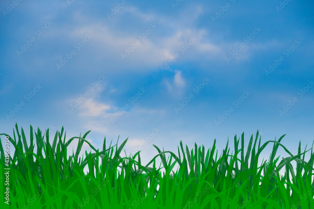 Green grass and blue sunny sky spring landscape. Perfect for backgrounds Green grass and blue sunny sky spring landscape. Perfect for backgrounds