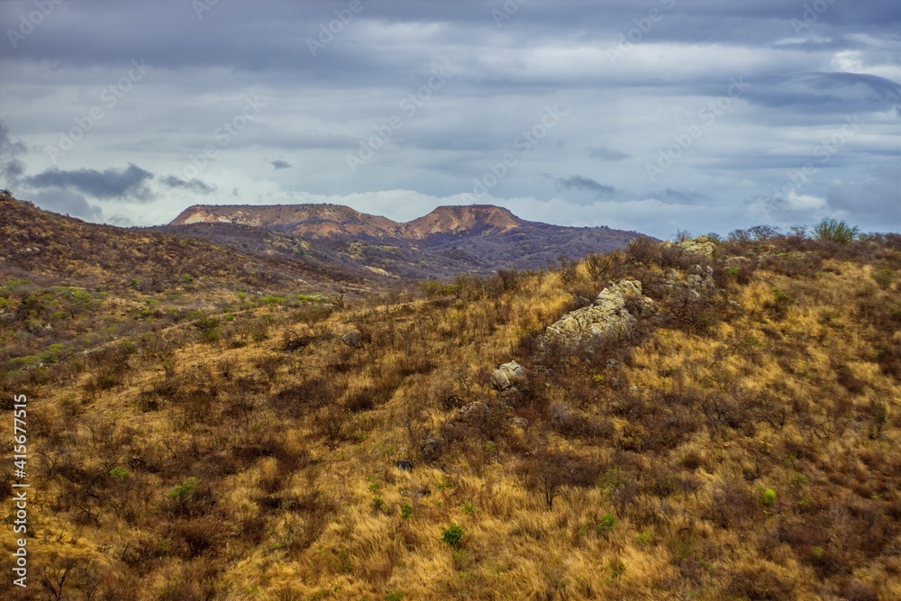 landscape in autumn