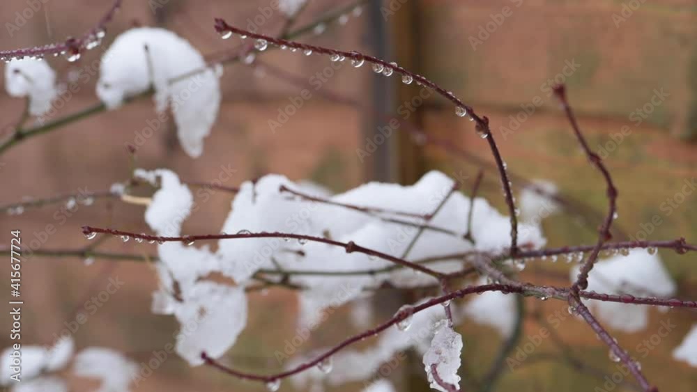 Slow motion snowfall in garden with ice melting on branches Slow motion snowfall in garden with ice melting on branches