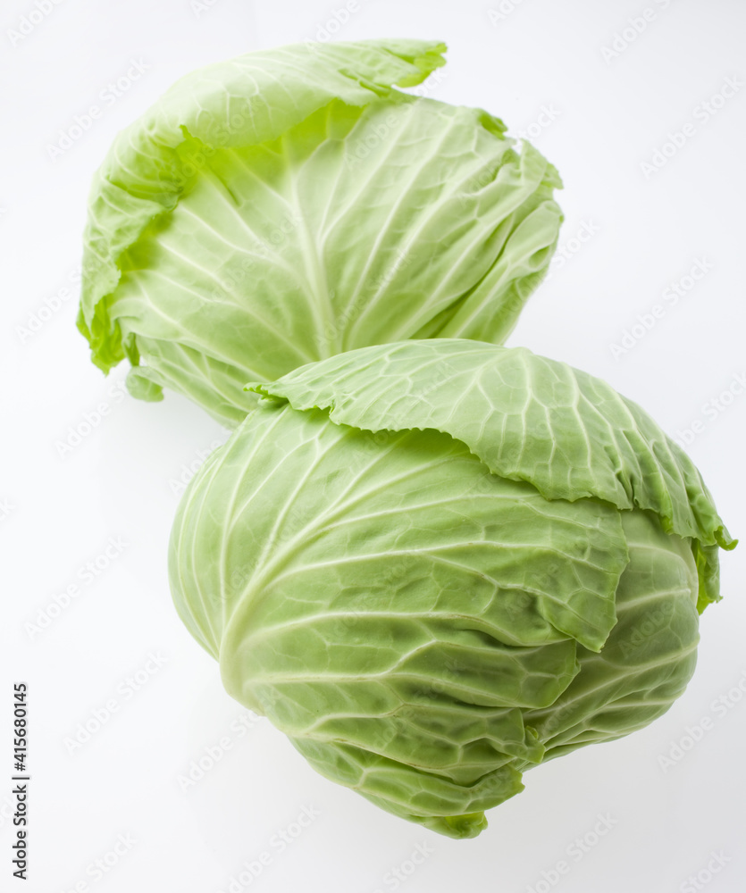 キャベツ キャベツ