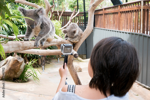 Photography 木の上で休むコアラを撮影する子ども