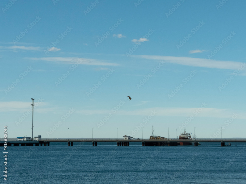 Ave sobrevolando en puerto de san antonio