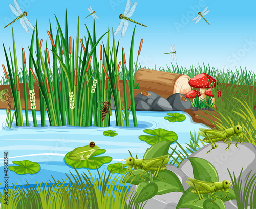 Many green frogs and dragonfly in the pond scene