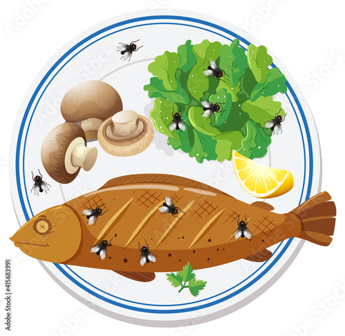 Top view of food with many flies flying around