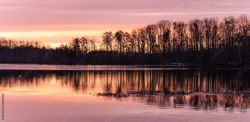 Obraz premium Pink Sunrise Over a Tree Lined Calm Lake with Reflections in Panoramic