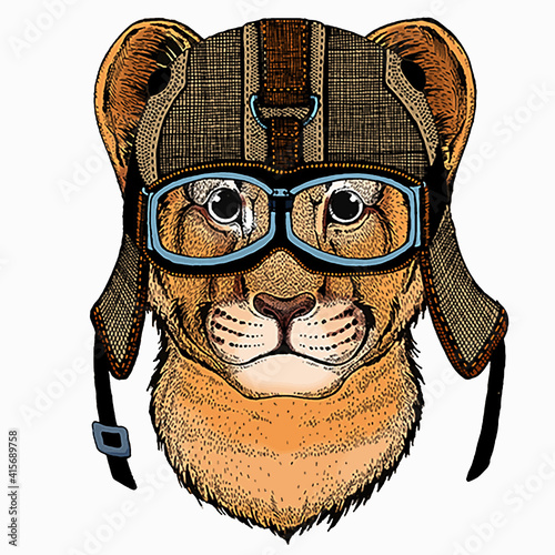 Vector portait of small baby lion head, face. Safari animal.