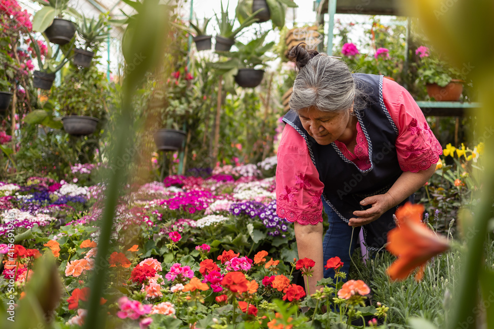 Portrait of a Mexican woman  in nursery Xochimilco, Mexico