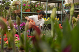 Mexican man working in nursery watering plants