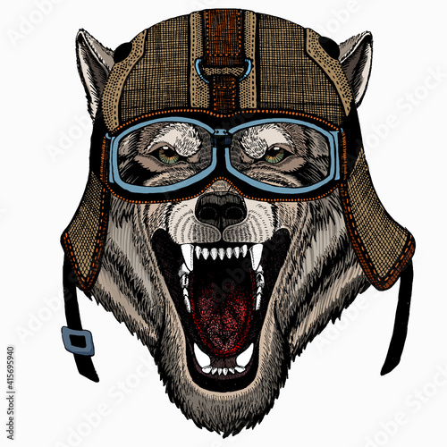 Vector portrait of wolf. Cool wild wolf. Animal head.