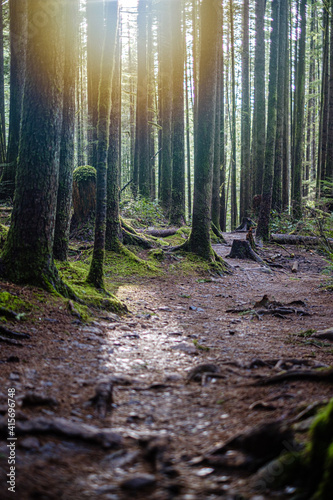 Wallace Falls State Park