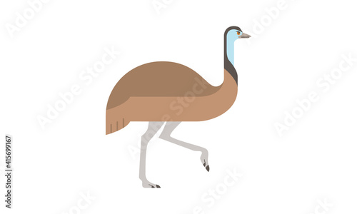 Australian native animal Emu  Dromaius Novaehollandiae   brown large flightless bird walking in side angle view  flat style vector illustration isolated on white background
