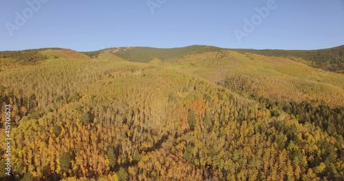 Drone of Mountain Aspens