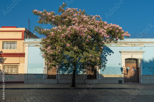 Casa Azul 1 photo