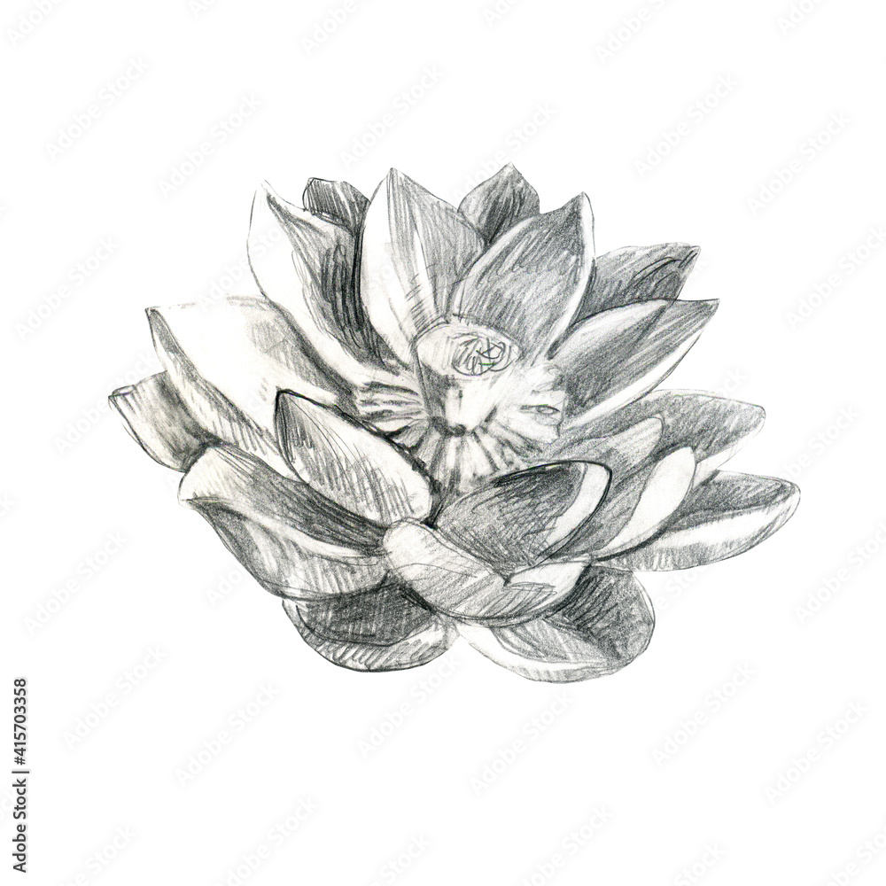 My Image 14