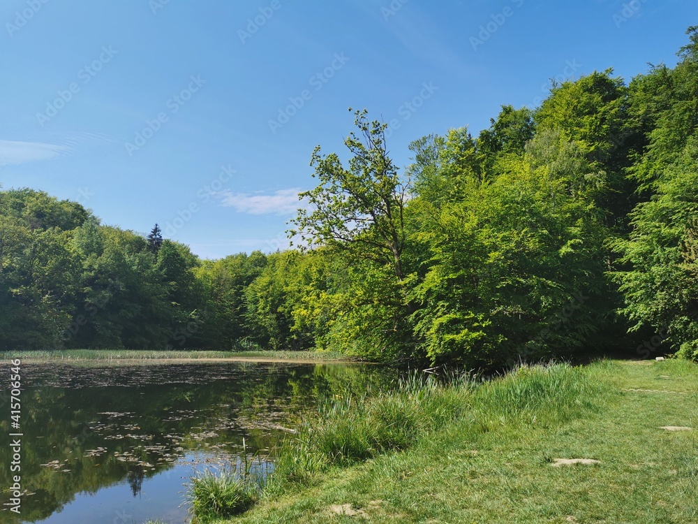 Green trees and a lake in a forest in North Germany near to the city of Rostock