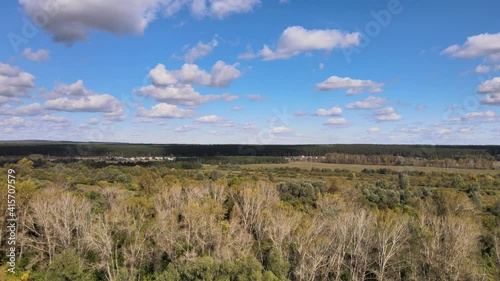 landscape with grass and sky