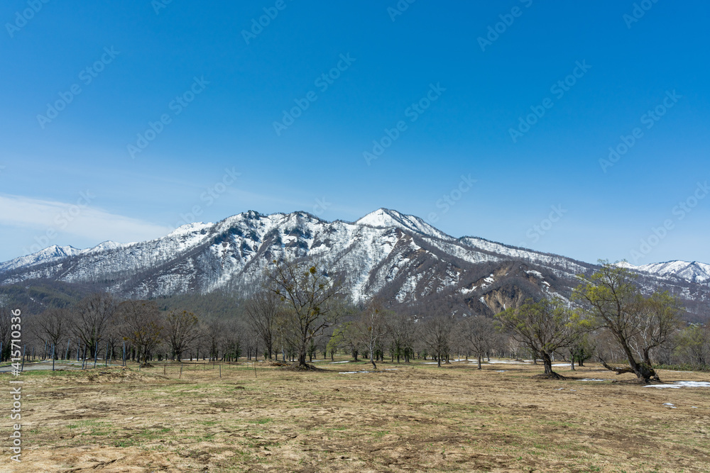 背後に広がる雪山と高原の木々