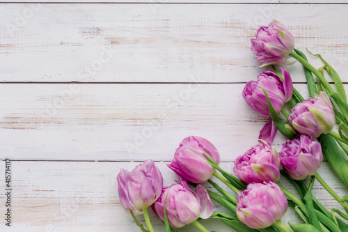 Fototapeta Naklejka Na Ścianę i Meble -  Spring flowers. Purple tulips on a white background. Mothers Day.