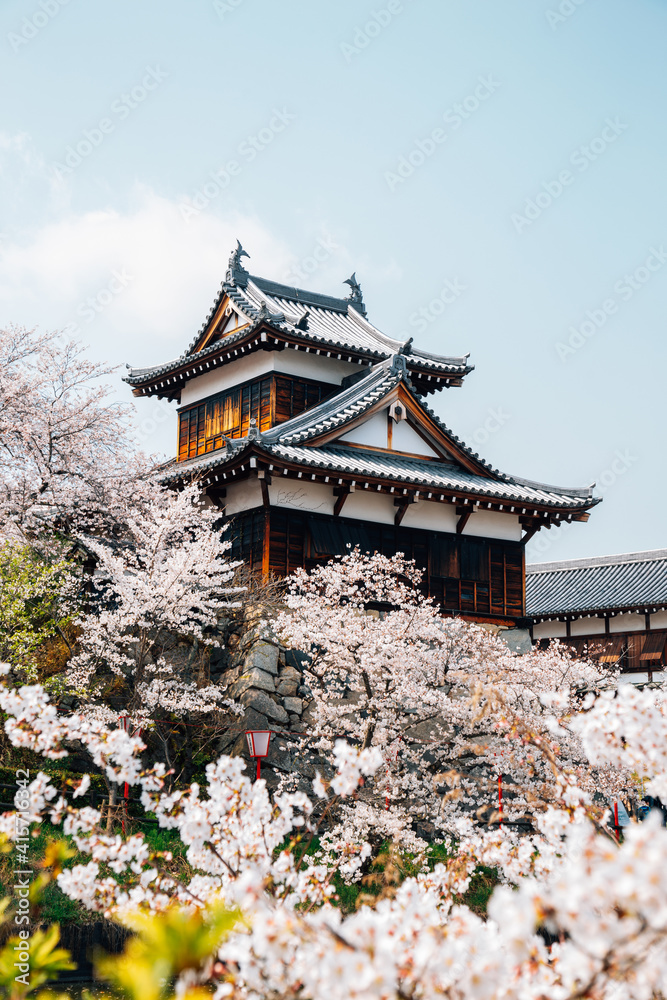 Koriyama castle park with cherry blossoms in Nara, japan