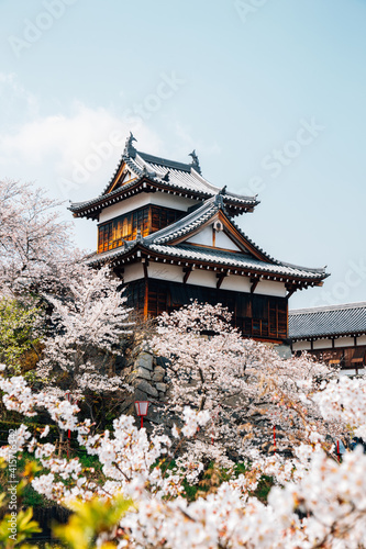 Obraz na płótnie Koriyama castle park with cherry blossoms in Nara, japan w salonie