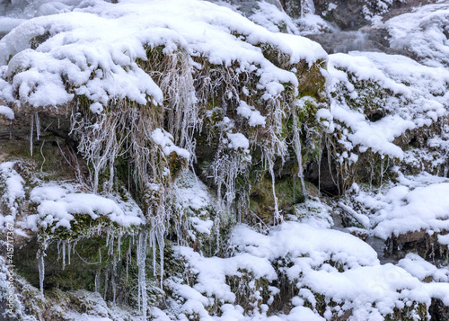 frozen fast flowing spring water, icy rocks and water stream, frosty tree roots, beautiful ice and water texture